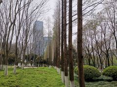-后襄河公园