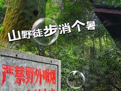 -西湖风景区十里琅珰-五云山