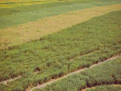 -中国天府农业博览园