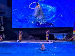 -海合安武汉极地海洋公园
