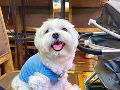 -河坝烧烤串城(银亭路店)
