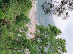 -小皓村