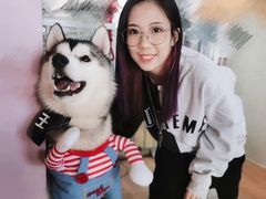 -Husky Go! 哈士奇体验馆·宠物咖啡厅狗咖