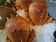 -阳光岛·海鲜盛宴(银泰中心in99店)