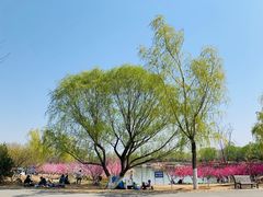 -永定河休闲森林公园