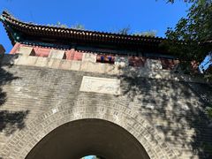 -云岗森林公园