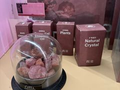 -盒马X会员店(上海森兰商都店)
