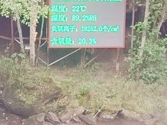 -汤旺河林海奇石景区
