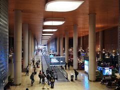 -贾特拉帕蒂·希瓦吉国际机场