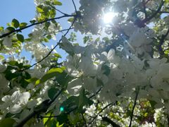 -元大都城垣遗址公园