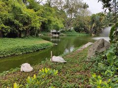 -深圳野生动物园