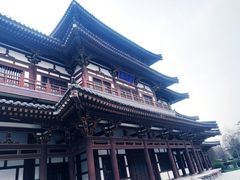 -西安青龙寺遗址景区