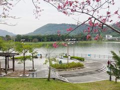 -风云岭森林公园