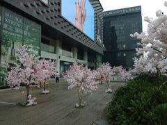 门面-大洋晶典(东街店)