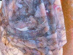 -前门杨记·铜锅涮肉(王府井·故宫店)