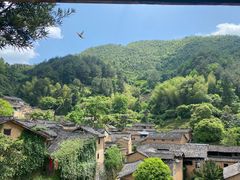 -杨家堂村