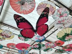 -九天休闲谷