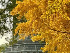 -玲珑塔公园