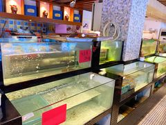 水产区-侬佳蒸菜馆(听潮店)