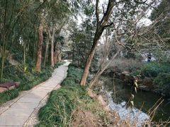 -水绘园