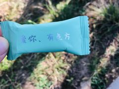 -前小桔亲子创意农场·草莓采摘·露营烧烤
