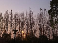 -华东政法大学(松江校区)