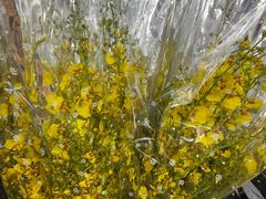 -循礼门鲜花花市(武汉循礼门店)