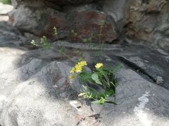 -阳澄湖半岛旅游度假区