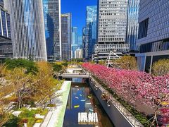 -深圳湾万象城(南山店)