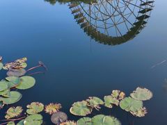 -苏州太湖湖滨国家湿地公园