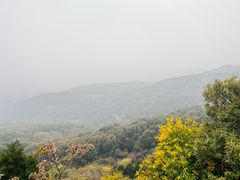 -北京西山国家森林公园