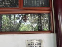 -上海方塔园