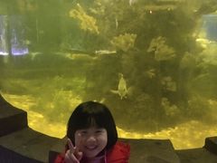-嘉兴海底世界