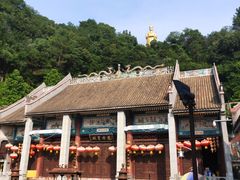 -悦城龙母祖庙