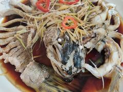 -煲来饱去冷水鱼