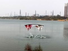 -永定河休闲森林公园