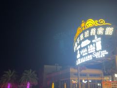 -三亚海昌梦幻海洋不夜城