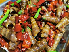 钉螺-喝丢一只鞋海鲜烧烤·海肠捞饭(市场店)