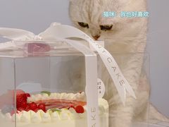 -浮光之丘MontCake生日蛋糕(花牌坊店)