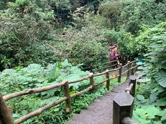 -海口火山口国家地质公园