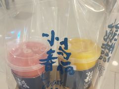 -春丽小马(济南恒隆广场店)