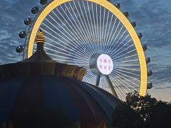 -海合安武汉极地海洋公园