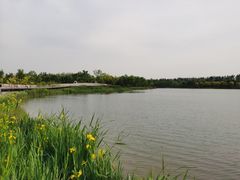 -东郊湿地公园