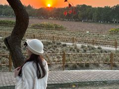 -艾溪湖湿地公园