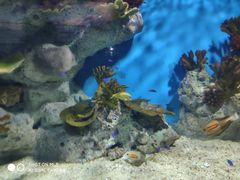 -福州罗源湾海洋世界旅游区