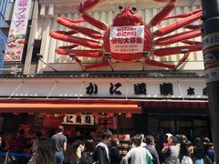 -蟹道乐(道顿堀本店)