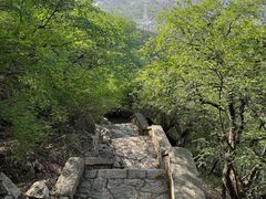 -千佛山风景名胜区
