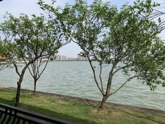 -无锡蠡湖国家湿地公园-蠡园