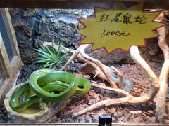-姑苏二十四集(iD PARK 歌林公园店)