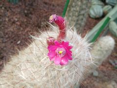 -南通洲际绿博园